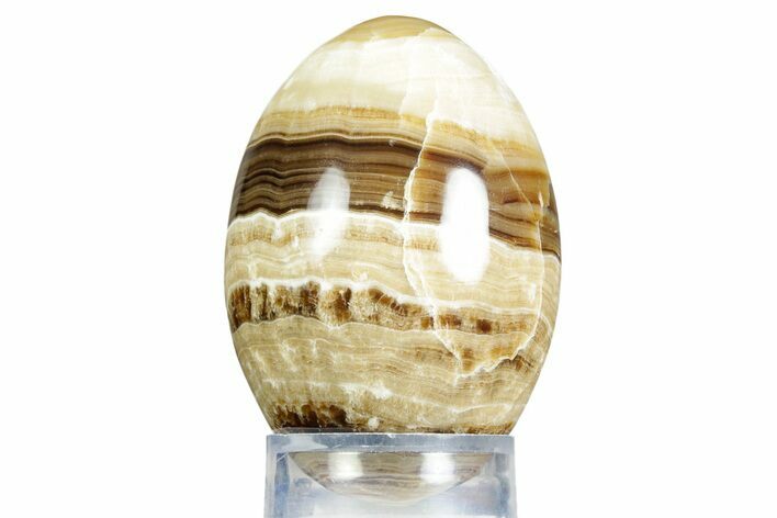 Swirling Polished Chocolate Calcite Egg - Pakistan #350183